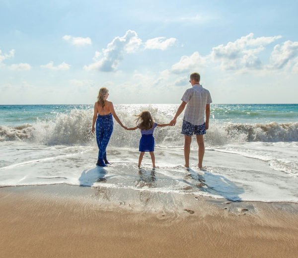 Make the safari work for the whole family.