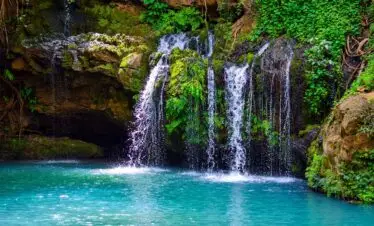 Ngare Ndare Forest Canopy Walk & Blue Pools Escape