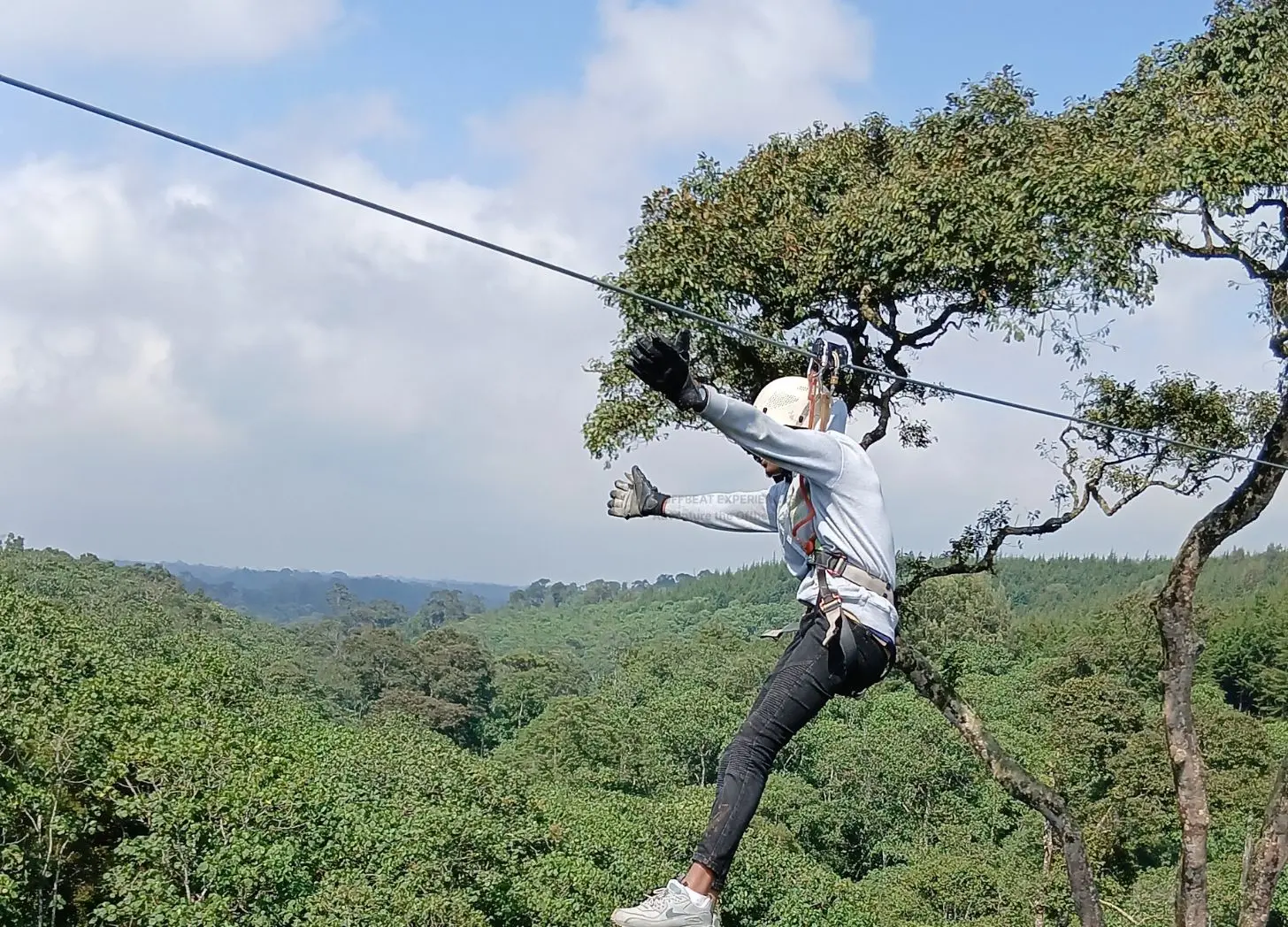 Kereita Forest Zipline Adventure – Day Trip from Nairobi | Offbeat Experiences