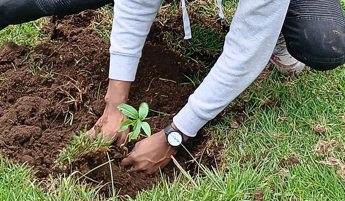 Tree Planting & Rewilding Expedition