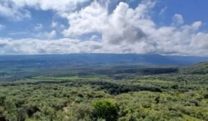 rift valley