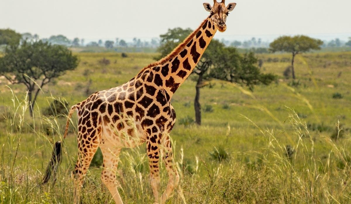 Curated 10-Day Wellness & Cultural Itinerary