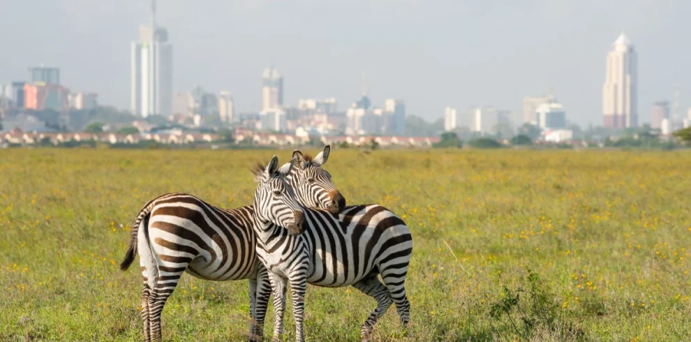 Explore Nairobi and Beyond