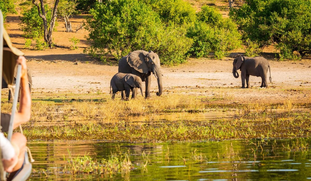 Family & Group Safaris in Kenya