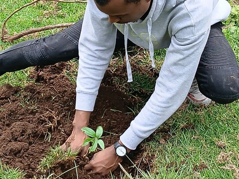 Planting Trees at Kereita Forest