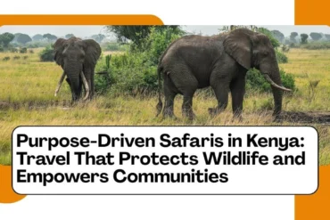 purpose-driven travel in kenya