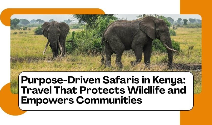 Purpose-Driven Travel in Kenya: Safaris That Protect Wildlife and Empower Communities