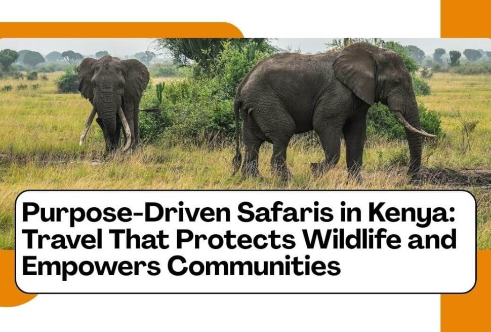 purpose-driven travel in kenya