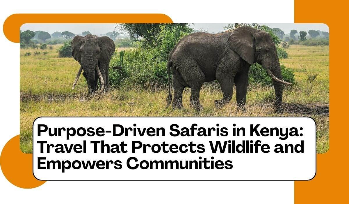 purpose-driven travel in kenya