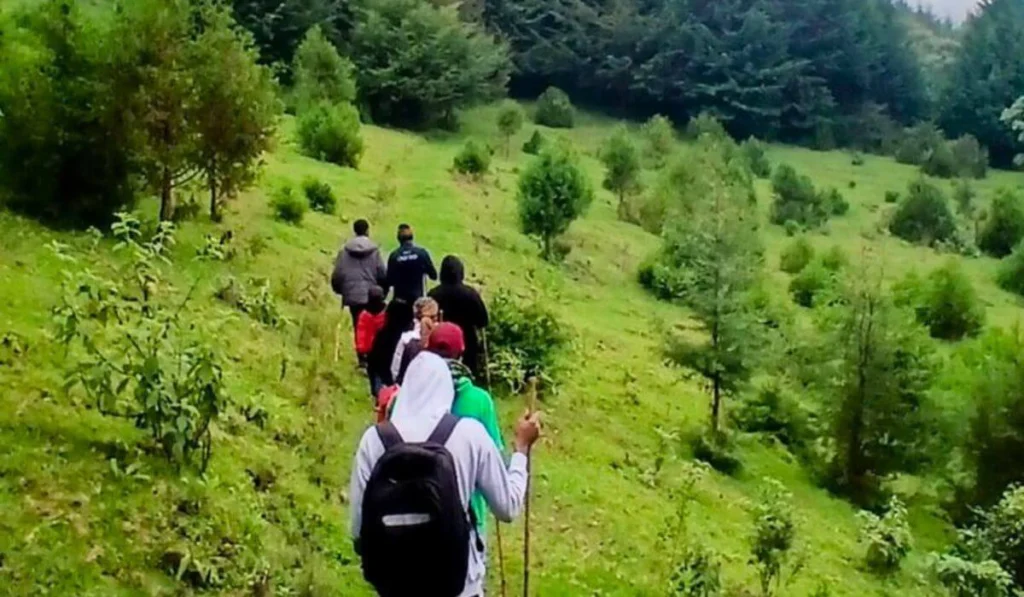 Walking / Hiking Safari with Offbeat Experiences