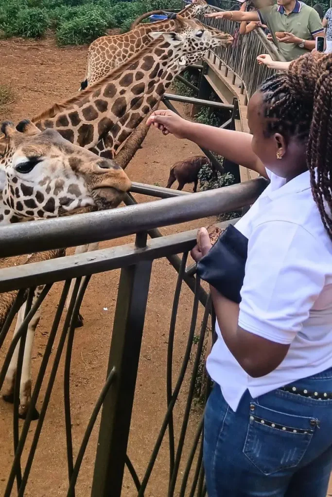 Join a conservation-focused safari in Kenya