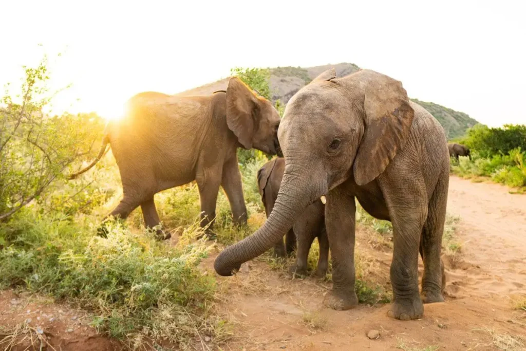 meaningful travel is not about doing more, but about understanding more