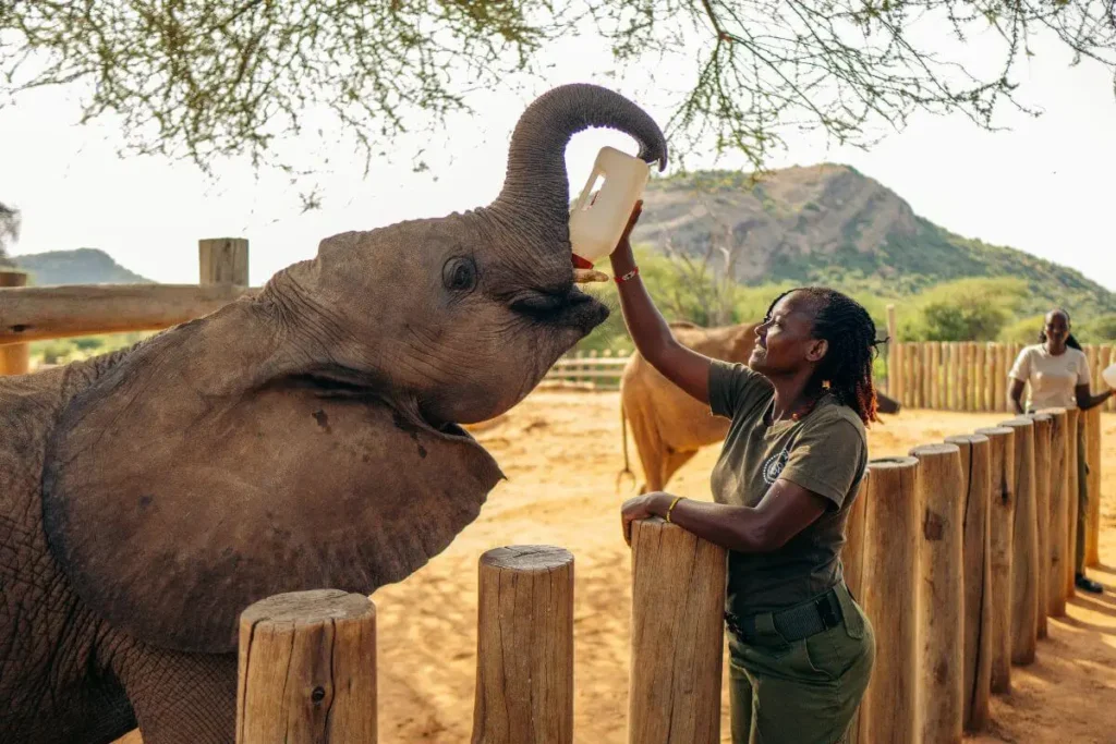 Female Elephant Keeper at Reteti Sanctuary.