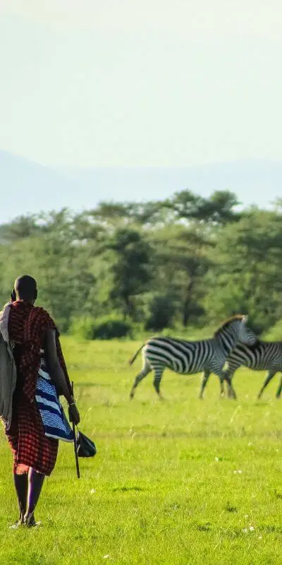 White-Label DMC Operations in Kenya