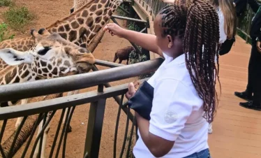 Hand feeding Giraffes at Giraffe Center- conservation safari