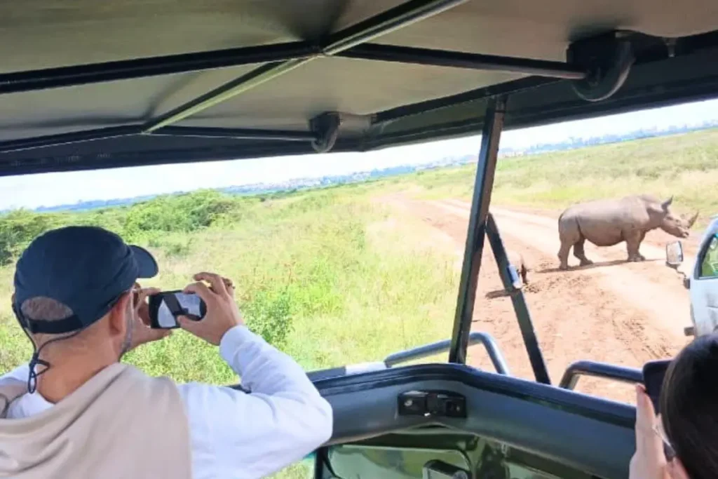 Nairobi National Park Experience