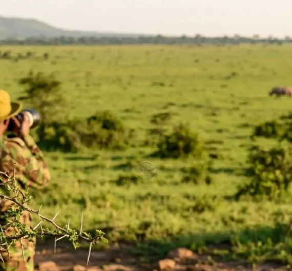 learn about conservation in context while respecting the people doing the work.