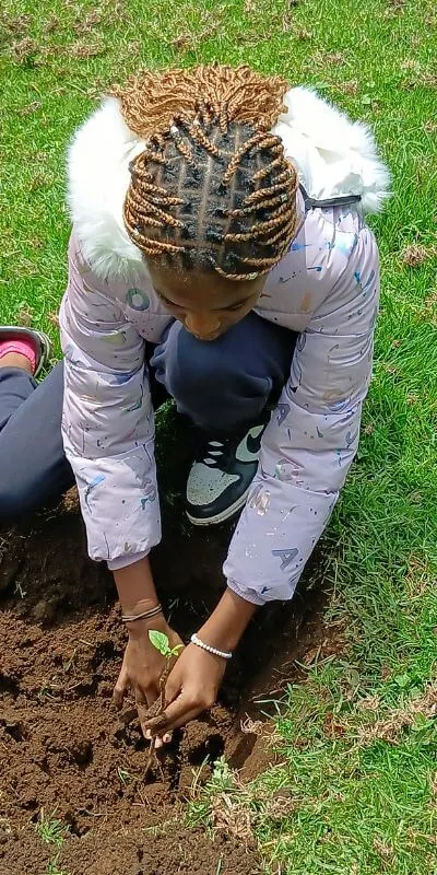 Our pathways at Offbeat Experiences
