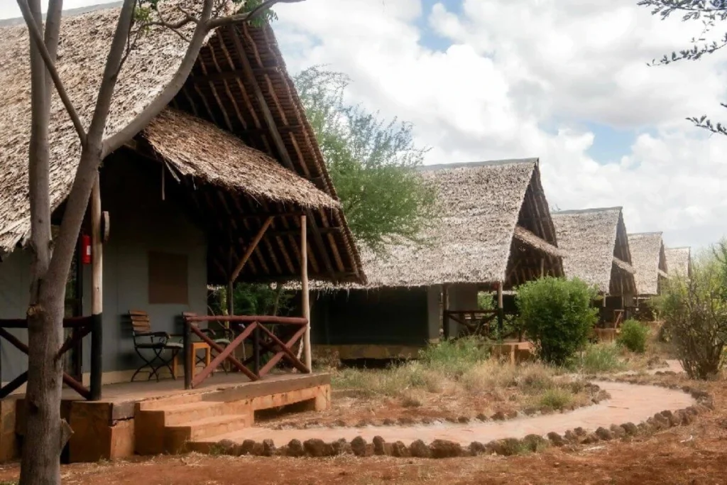 Amboseli Conservation Safari- AA Lodge Amboseli