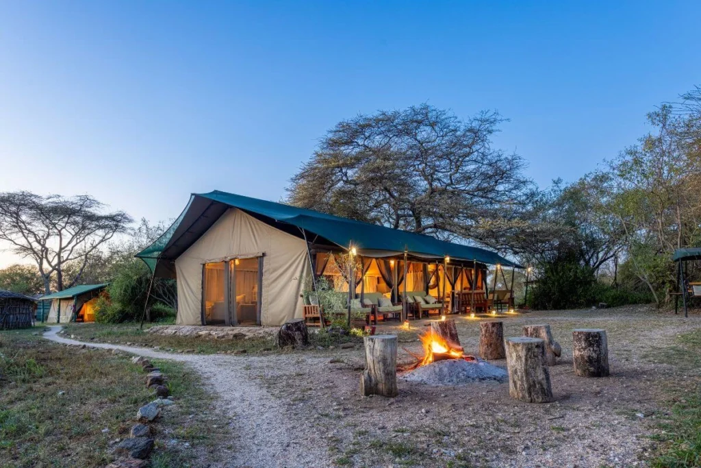 Amboseli Conservation Safari- Porini Amboseli Camp