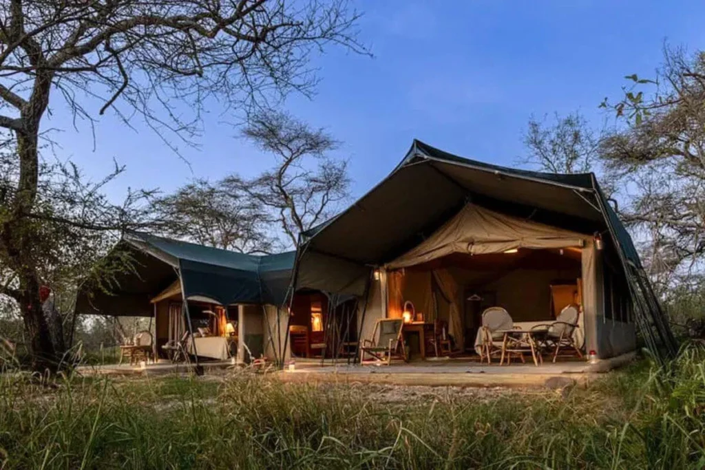Amboseli Conservation Safari- Porini Amboseli Camp