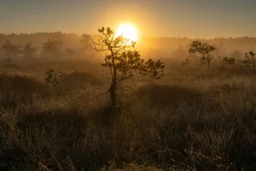 sunrise experience for a thoughtful traveler