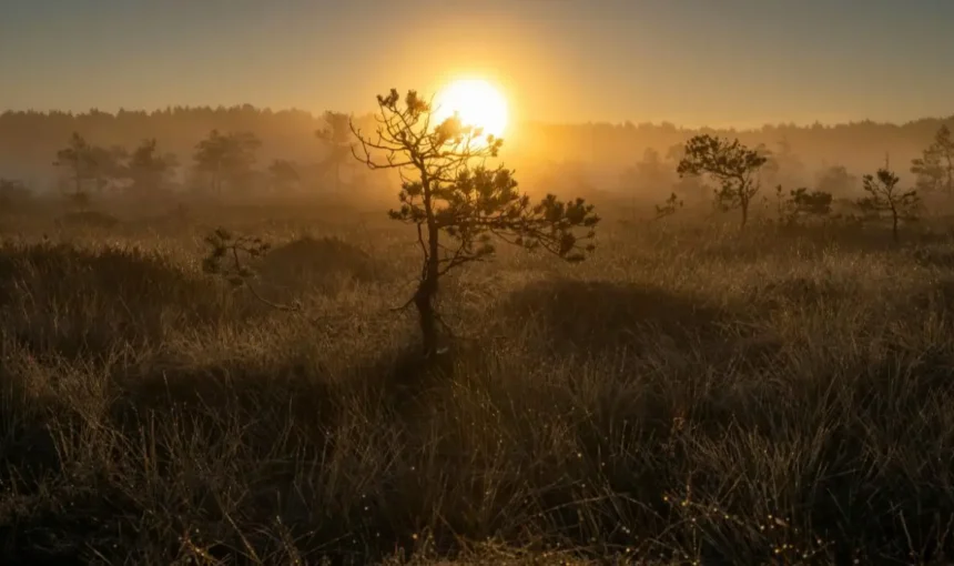 Who Is a Thoughtful Traveler? A Complete Guide to Thoughtful Travel in Kenya