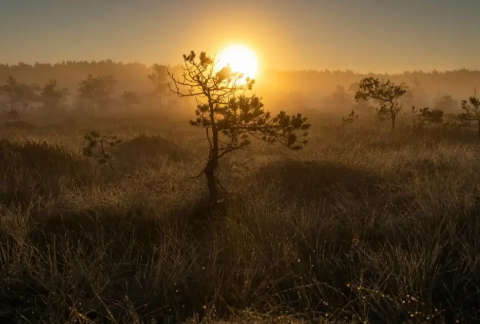 sunrise experience for a thoughtful traveler