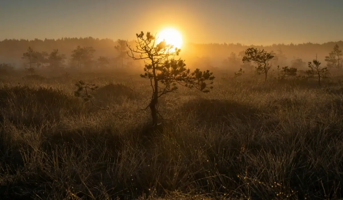 sunrise experience for a thoughtful traveler