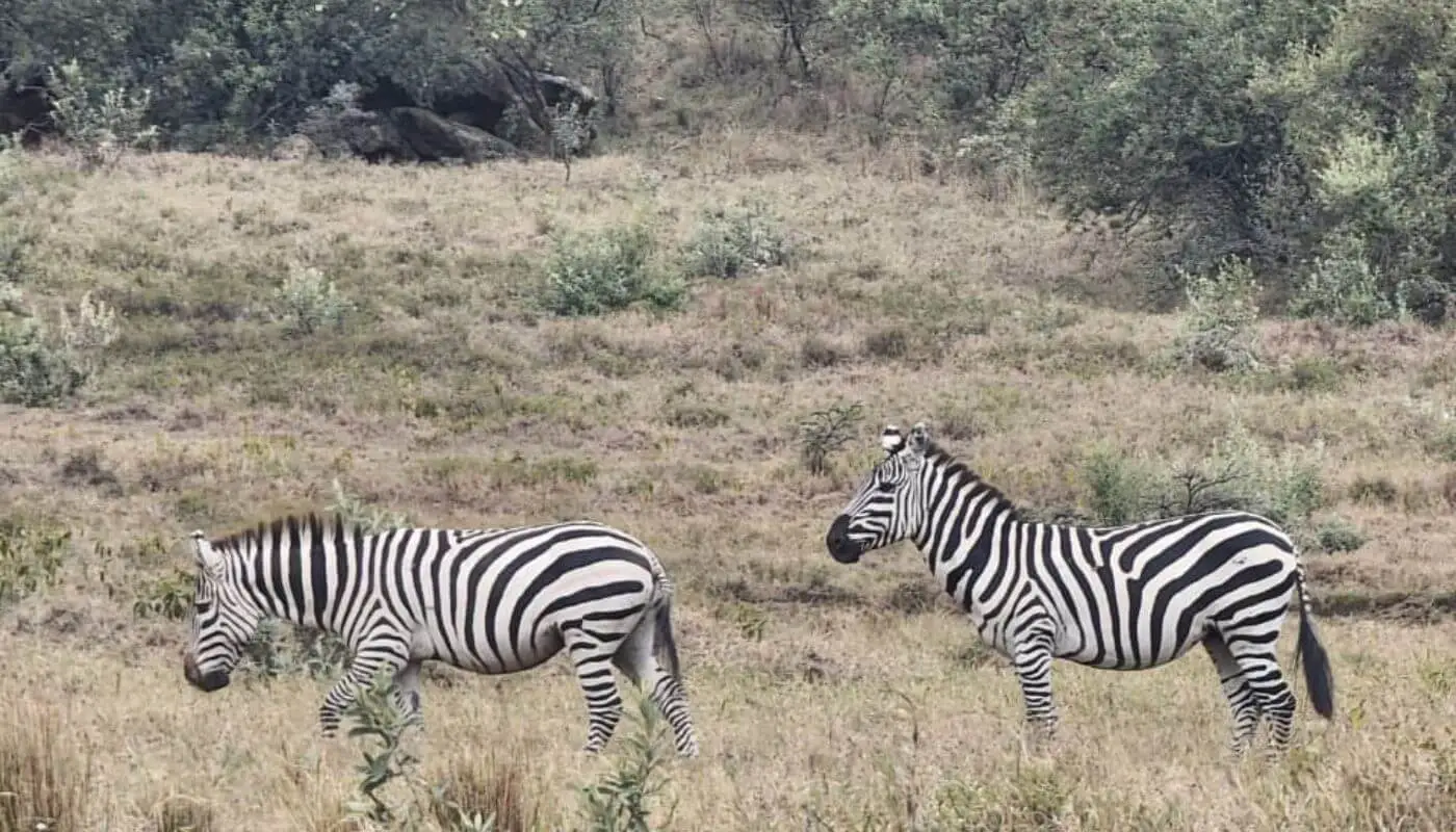 Hell's Gate & Lake Naivasha Escape