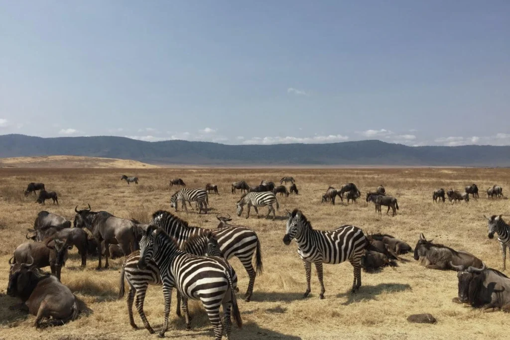 Iconic safari locations in Kenya
