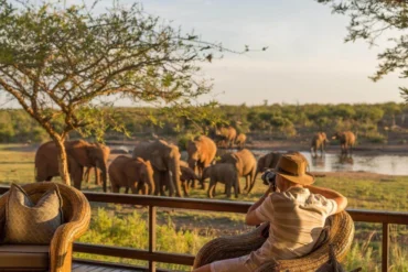 Why Kenya Conservancies Matter More Than Most Travellers Realise The Best Safari Memories Aren't Always About Wildlife