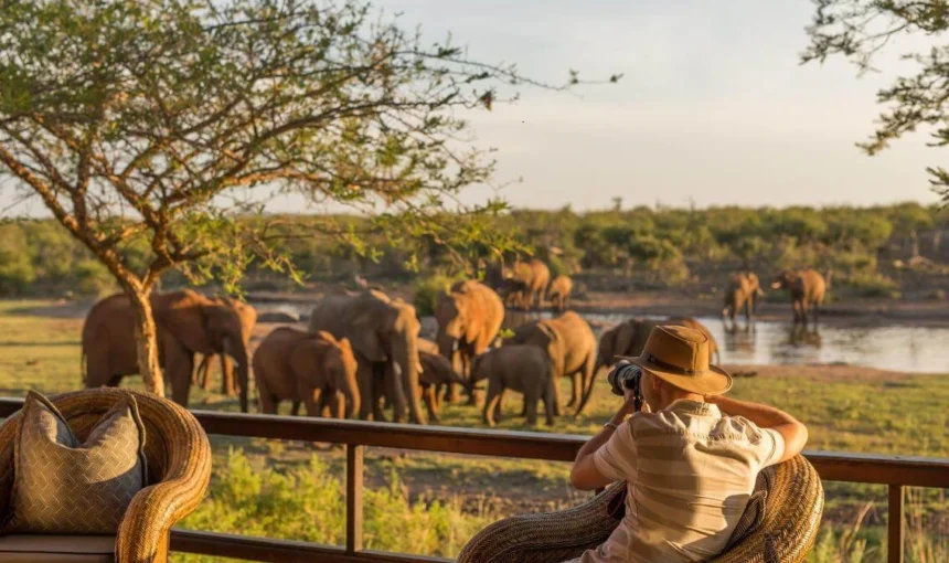 The Best Safari Memories Aren’t Always About Wildlife