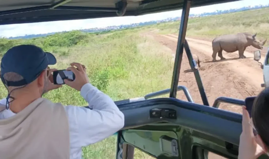 How to Choose the Right Kenya Safari for Your Travel Style