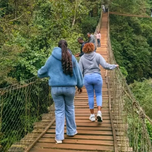 Retreats and group journeys built around what the group wants to achieve or experience
